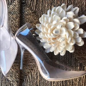 Clear pumps
